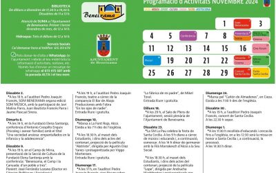 Programación de actividades mes de noviembre 2024